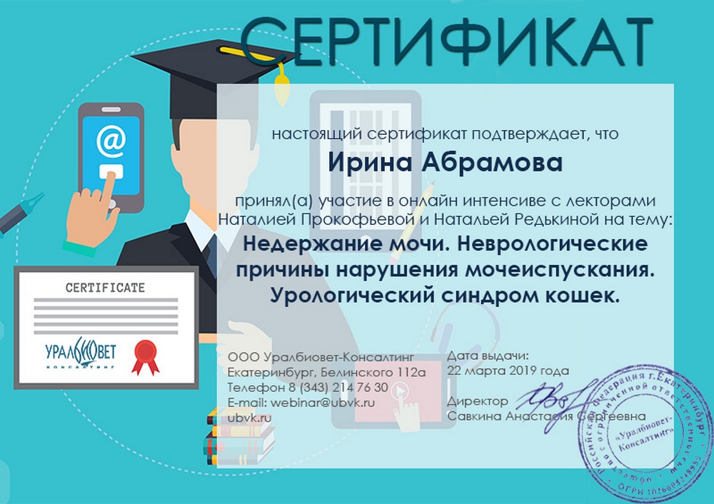 Certificate Abramova IV 4