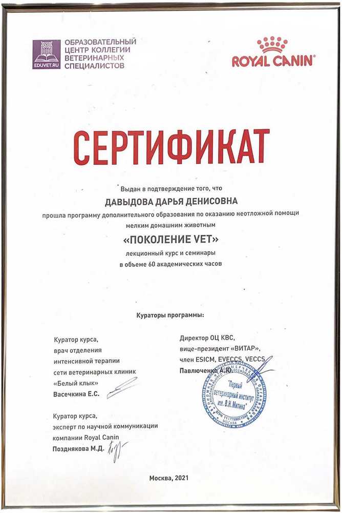 Certificate Davidova DD 1