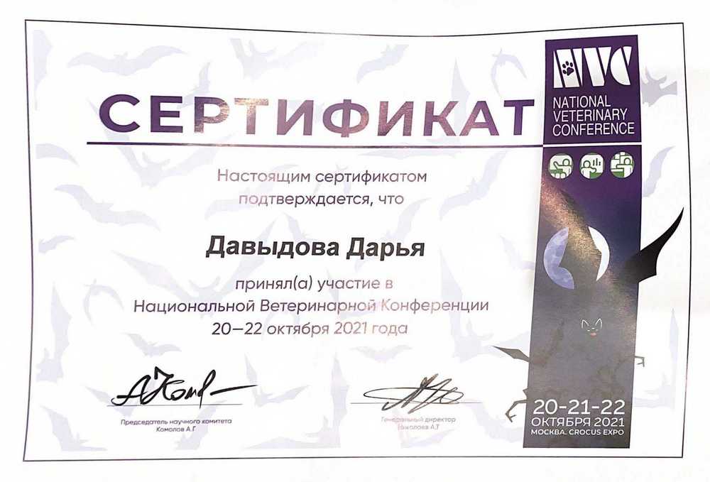 Certificate Davidova DD 2