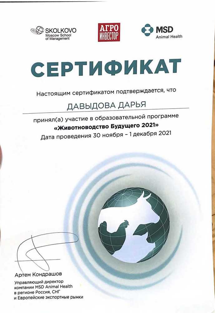 Certificate Davidova DD 3