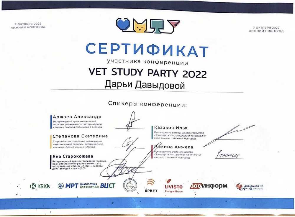 Certificate Davidova DD 4