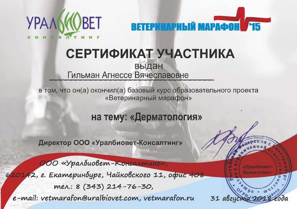Certificate Gilman AV 1