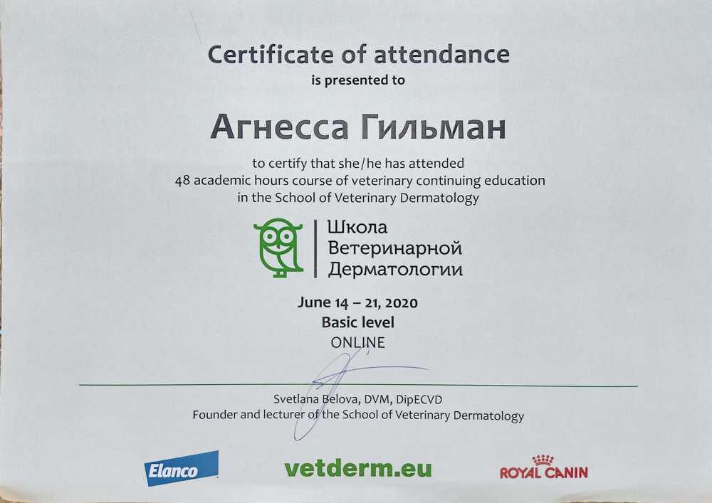 Certificate Gilman AV 3