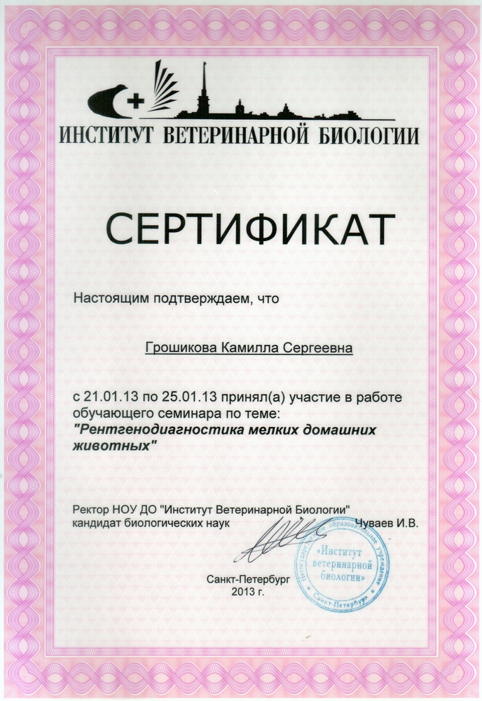 Certificate Groshikova KS 1