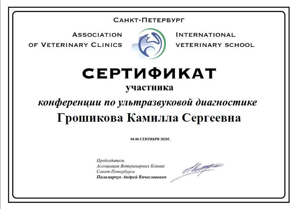 Certificate Groshikova KS 10