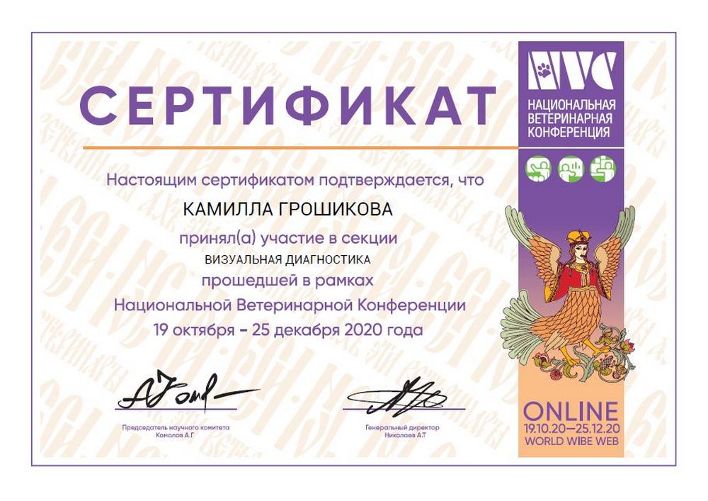 Certificate Groshikova KS 11
