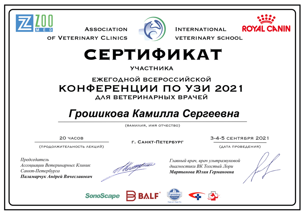 Certificate Groshikova KS 15