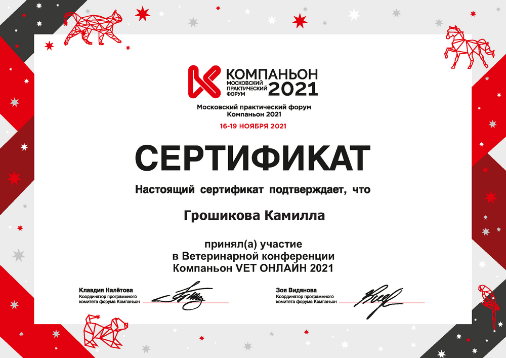 Certificate Groshikova KS 16