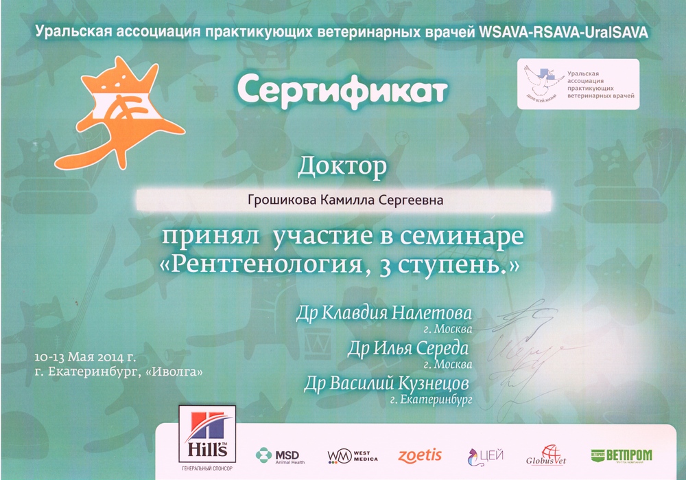 Certificate Groshikova KS 3