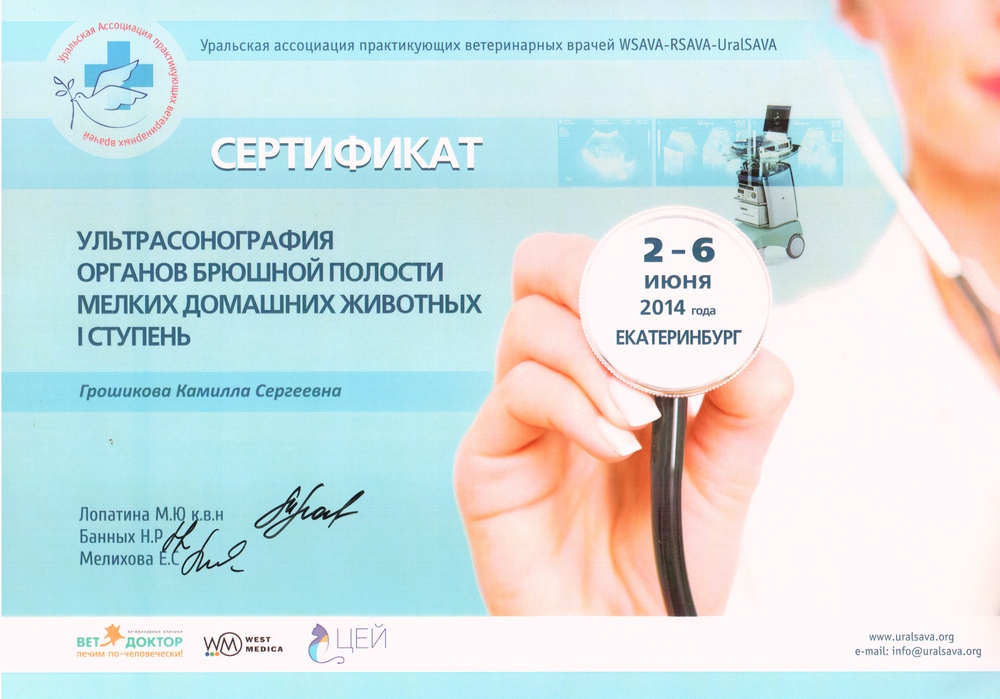 Certificate Groshikova KS 4