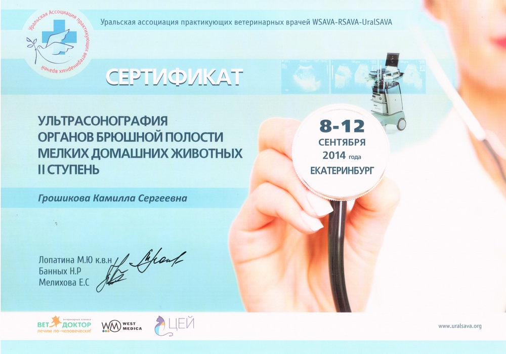 Certificate Groshikova KS 5