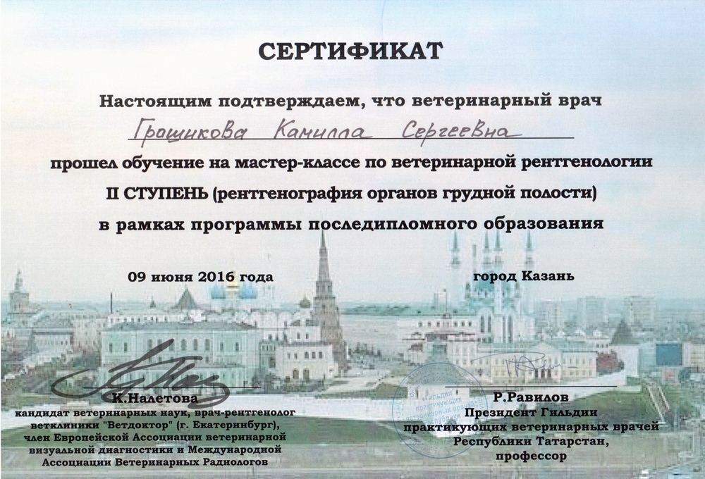 Certificate Groshikova KS 6