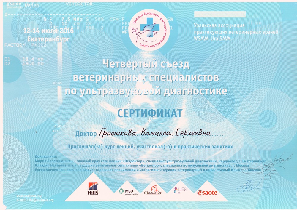 Certificate Groshikova KS 7
