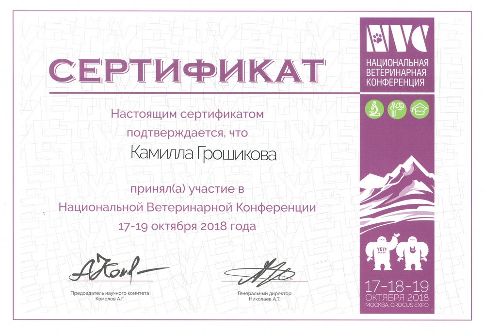 Certificate Groshikova KS 8