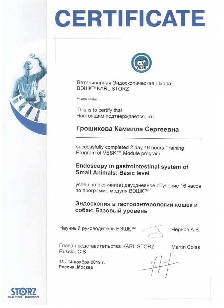 Certificate Groshikova KS 9