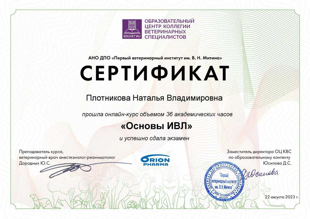 Certificate Plotnikova NV 1