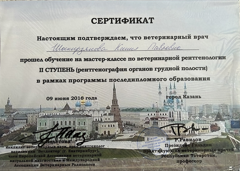Certificate Shakirzyanova KP 10
