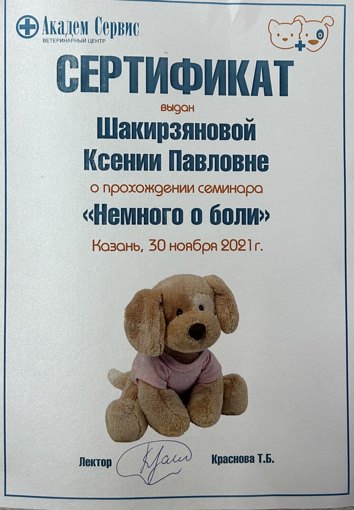 Certificate Shakirzyanova KP 12