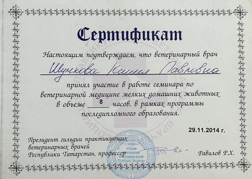 Certificate Shakirzyanova KP 2
