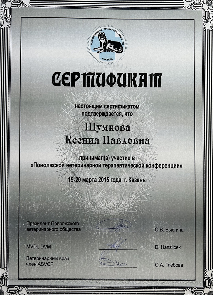 Certificate Shakirzyanova KP 3