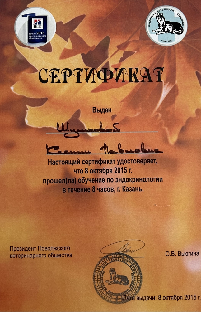 Certificate Shakirzyanova KP 5