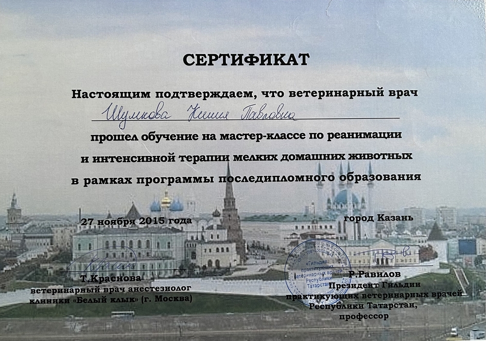 Certificate Shakirzyanova KP 6