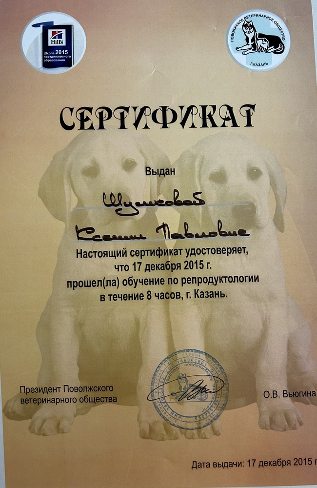Certificate Shakirzyanova KP 7