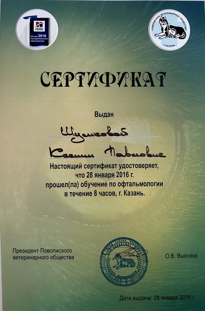 Certificate Shakirzyanova KP 8