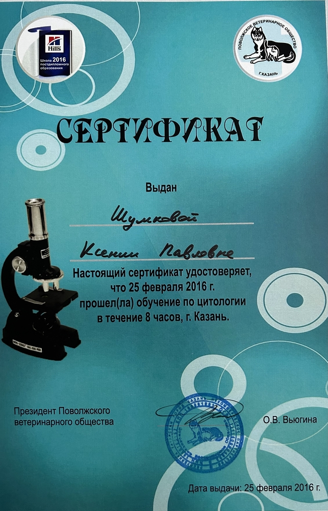 Certificate Shakirzyanova KP 9
