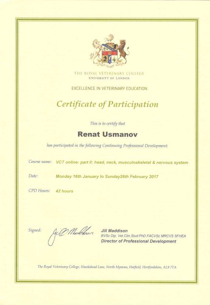 Certificate Usmanov RA 2017 1