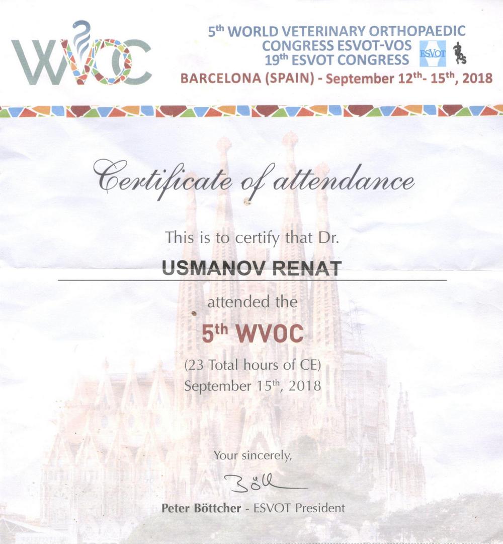 Certificate Usmanov RA 2018 1