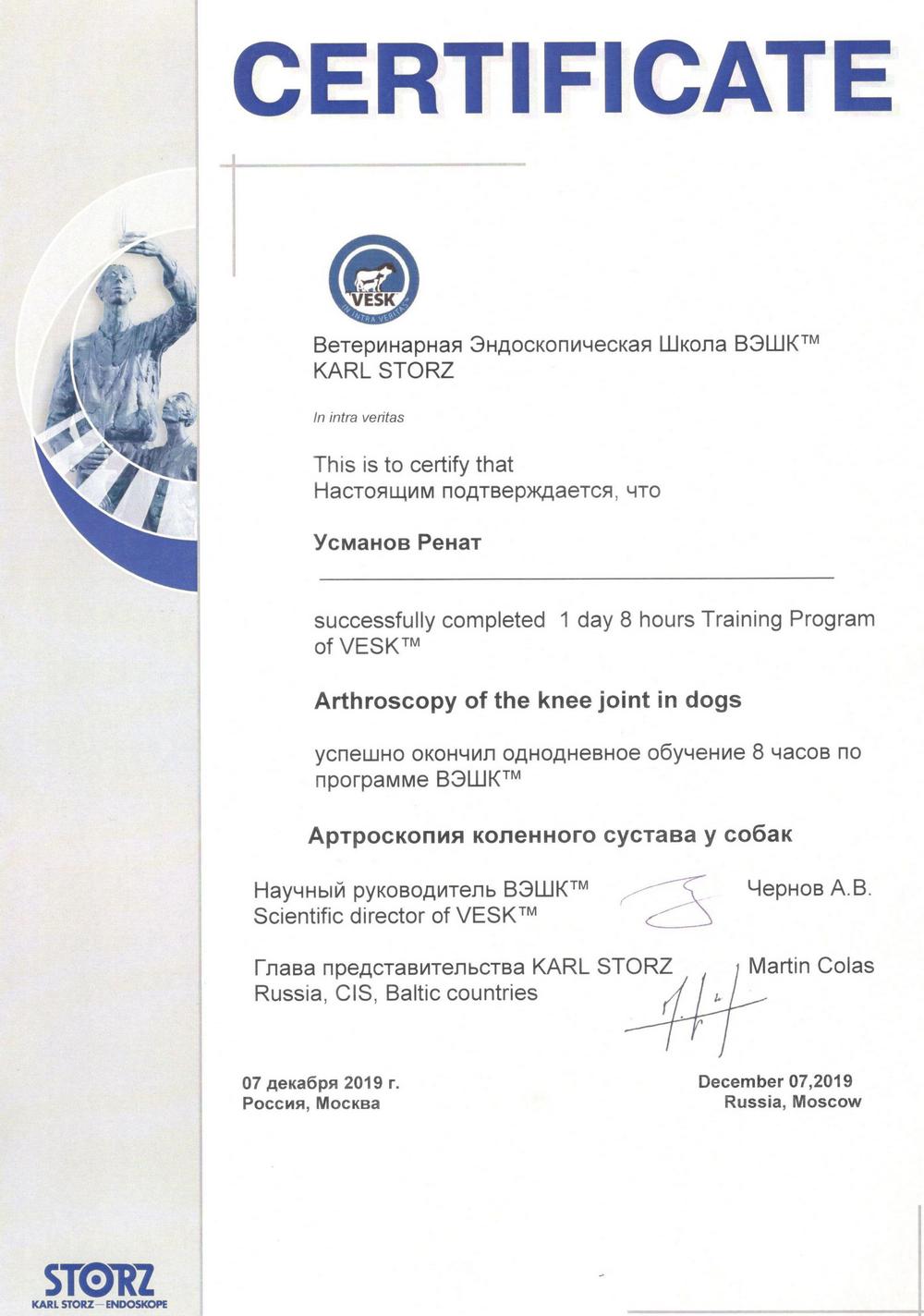 Certificate Usmanov RA 2019 1