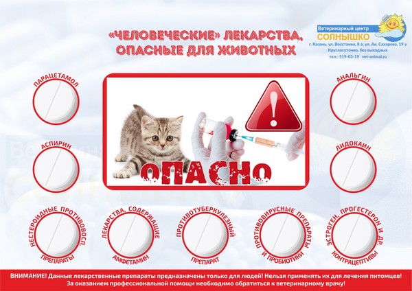 Medications dangerous to animals small